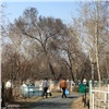 Ресурса новых кладбищ в Красноярске хватит ненадолго