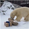 В «Роевом ручье» отметили день рождения белого медведя Ермака и подарили игрушку-нерпу с мясом (видео)