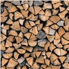 «Помогаем семьям героев»: краевые лесники заготовили дрова на зиму для семей участников СВО