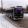 «Максимально комфортные и безопасные»: в Красноярске на линию вышли современные троллейбусы «Адмирал»