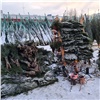 Часть елочных базаров в Красноярске будет работать круглосуточно до 31 декабря