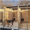 В красноярских частных собачьих приютах на бюджетные деньги построили новые вольеры 