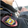«Красноярцы безопасно встретят Новый год»: полицейские заявили о готовности к длинным каникулам (видео) 