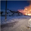 Две сотни телят погибли при пожаре в Красноярском крае