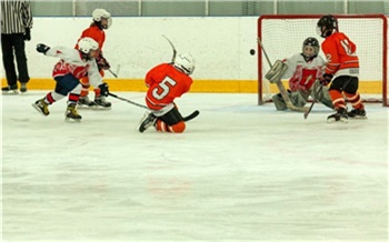 «Спорт начинается с детей»: в Зеленогорске прошел открытый молодежный турнир по хоккею с шайбой