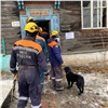 В Красноярске в аварийном доме обвалилась кровля. Погибла женщина (видео)