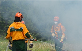 «Тренировки, спецтехника и беспилотники»: как лесные пожарные края готовятся к новому пожароопасному сезону