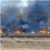 «Горело под контролем»: в Красноярском крае сотрудники МЧС ради тренировки устроили пожар (видео)