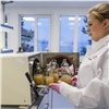 На Беломорской биологической станции МГУ испытывают микробный препарат для очистки морской воды от углеводородных загрязнений