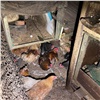 В Красноярском крае пожарные спасли птиц из горящего курятника