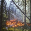 «Просим не паниковать»: 5 мая красноярцев весь день будут информировать об опасности пожаров 
