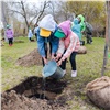 «Зеленая дружина» начала весенние высадки деревьев и приглашает красноярцев присоединиться к экомарафону