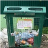 «Пластик — на переработку»: на левобережье Красноярска установили новые контейнеры для раздельного сбора мусора