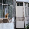 В Красноярске разработали рекомендации для размещения кондиционеров на фасадах и оформления балконов