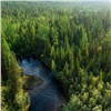 Красноярские ученые оценили состояние хвойных лесов в Эвенкии