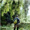 В красноярском МЧС составили типичный портрет заблудившегося в лесу грибника