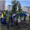 Волонтеры высадили деревья на территории школы в красноярском «Преображенском»