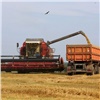 За пять лет в Красноярском крае в 4,5 раза увеличились площади застрахованных посевов