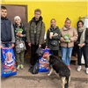 «Такой ажиотаж впервые»: красноярцы пожертвовали бездомным псам более тонны еды