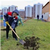Сотрудники РУСАЛа вместе с жителями Советского района Красноярска высадили 1000 деревьев