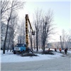 Красноярская мэрия напомнила о штрафах за неправильную обрезку деревьев