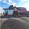 Аграрии Красноярского края получат господдержку на производство масличных культур