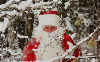 «С меня пытались стянуть шубу и затащить в подсобку»: откровенные истории красноярского Деда Мороза