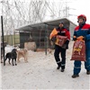 120 килограммов корма передали энергетики СГК красноярскому приюту для животных
