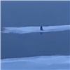 В Красноярске рыбака могло унести на льдине по Енисею. Поиски пока не дали результата (видео)