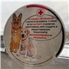В красноярском транспорте появились наклейки о бесплатном провозе собак-проводников