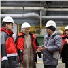 Вице-премьер Виктория Абрамченко оценила экологическую модернизацию КрАЗа