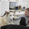 Волонтеры РУСАЛа помогают красноярским приютам для бездомных животных
