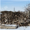 Свалку останков животных нашли в Березовском районе