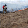 Красноярцев предупредили о штрафах за сжигание сухой травы и мусора