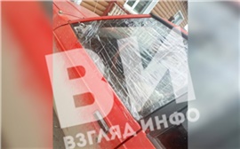 «Разбил головой стекло»: в Красноярском крае медведь напал на машину с людьми