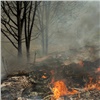 В Красноярском крае за сутки сгорело около 57 га леса