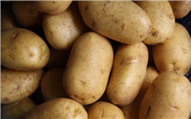 Цены на картофель в России выросли почти на 50 %
