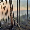 В Красноярском крае площадь лесных пожаров сократилась почти в три раза