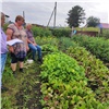 Пострадавшим от обработки полей в поселке Кекур под Красноярском выплатят компенсацию