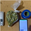 Мужчина делал закладки с метадоном в красноярской Зеленой Роще и попался полиции (видео)