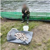 В Курагинском районе рыбаки выбросили незаконно пойманную рыбу в реку