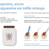 Специалисты рассказали, как вытащить клеща