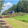 Из-за гроз и сильного ветра «Россети Сибирь» в Красноярском крае перешли в особый режим работы
