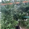 Наркоагронома из Красноярска отправили в колонию (видео)