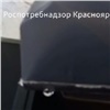 Жительница Красноярского края с трудом вернула деньги за «плачущий» отпариватель (видео)