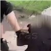 В Красноярске 14-летнюю школьницу побили за отказ поделиться электронной сигаретой (видео)