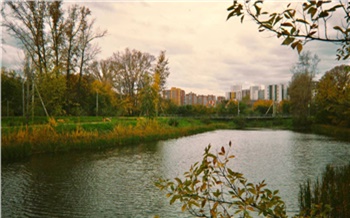 Вдоль озер и стай бродячих собак: как я прогулялась по красноярскому Пашенному