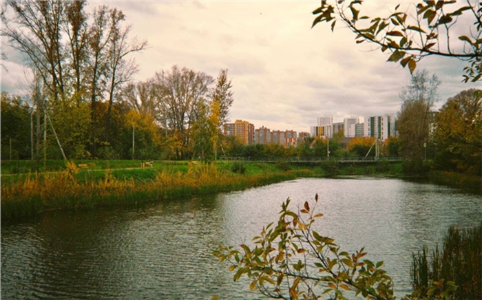 Вдоль озер и стай бродячих собак: как я прогулялась по красноярскому Пашенному