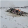 В Уяре резко повысился риск пожаров из-за неправильной утилизации золы (видео)