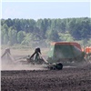Агропромышленные предприятия Красноярского края получат поддержку на проведение полевых работ